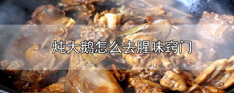 炖大鹅怎么去腥味窍门