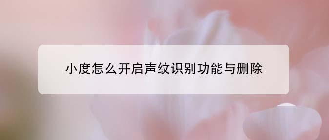 小度怎么开启声纹识别? 小度音箱声纹识别开启与关闭的方法