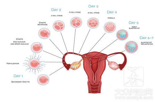 输卵管怎么检查