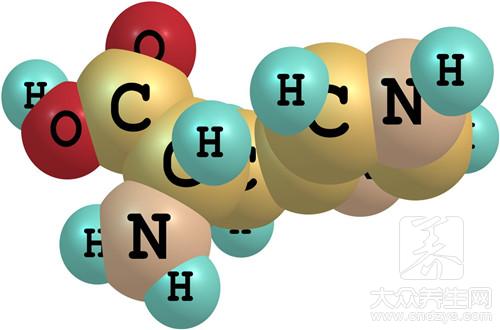 氨基酸的种类，补充合适身体所需要的氨基酸