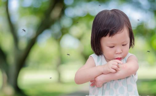 被蚊虫叮咬后应避免的行为 快速止痒的小方法