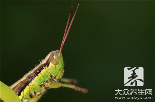 枕头瑜伽？肚子想在长肉都很难 