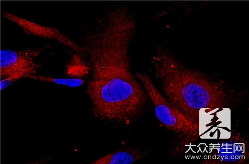 早期骨髓瘤能治好吗，还需科学治疗