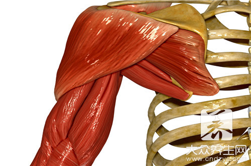 练肩部肌肉的动作