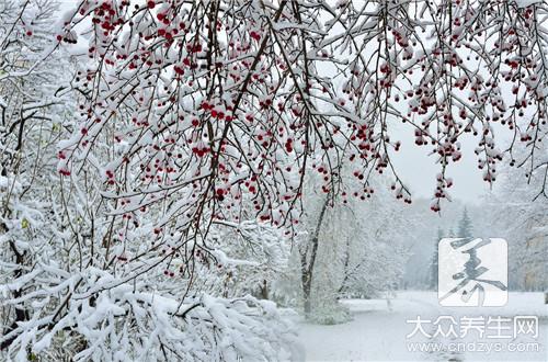 雪天外出注意事项有哪些 