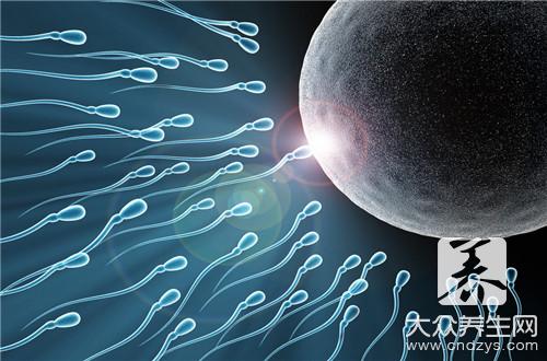 排卵期啪啪怀孕几率