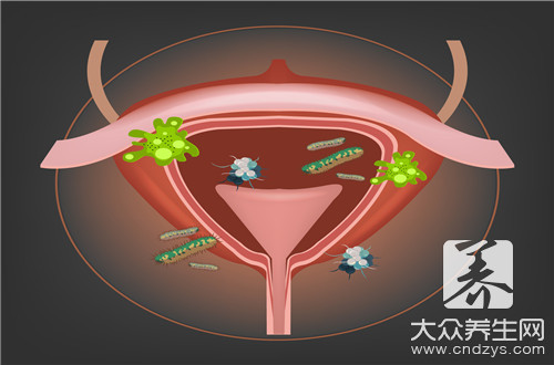  膀胱俞怎么找