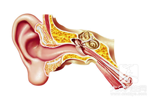 上火耳朵嗡嗡响吃啥药