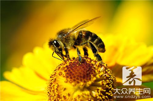 蜜蜂毒刺没拔出怎么办